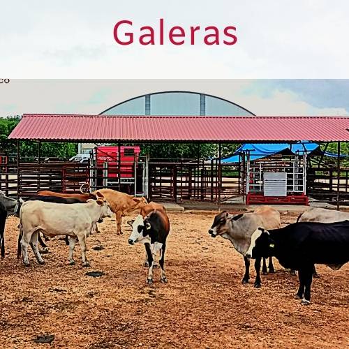 galeras para ranchos