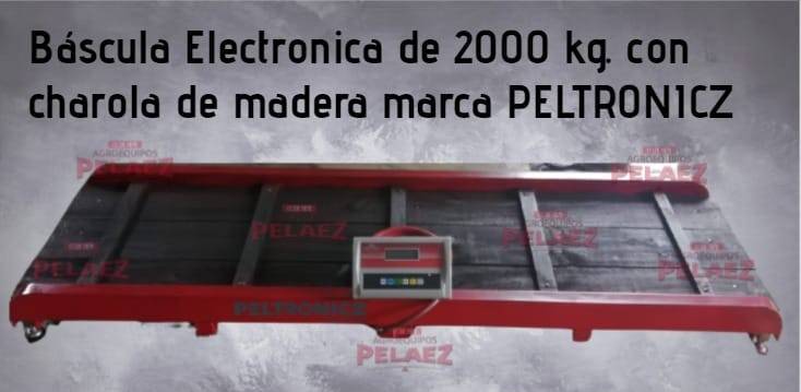 básculas economicas pelaez