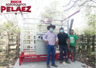 bascula ganadera mecanica entregada y fabricada por agroequipos pelaez